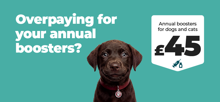 Annual boosters from just £45